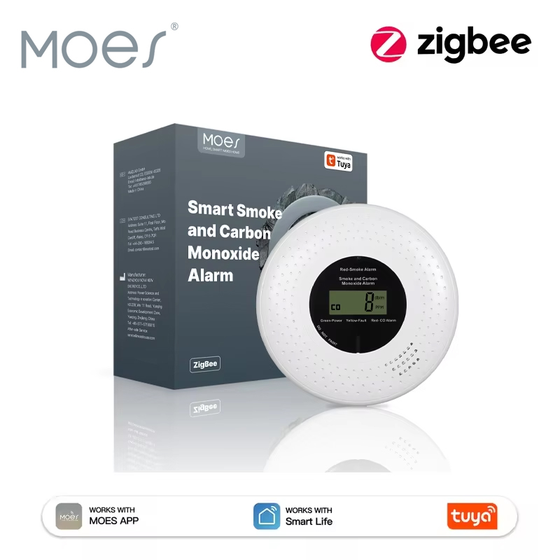 Co Detector Plug - Rilevatore di fumo e monossido di